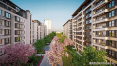 也给康桥后续项目标下了根本